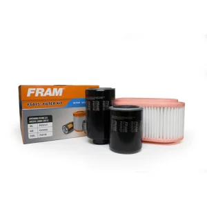 Fram Filter Kit FSA15 Hyundai H100